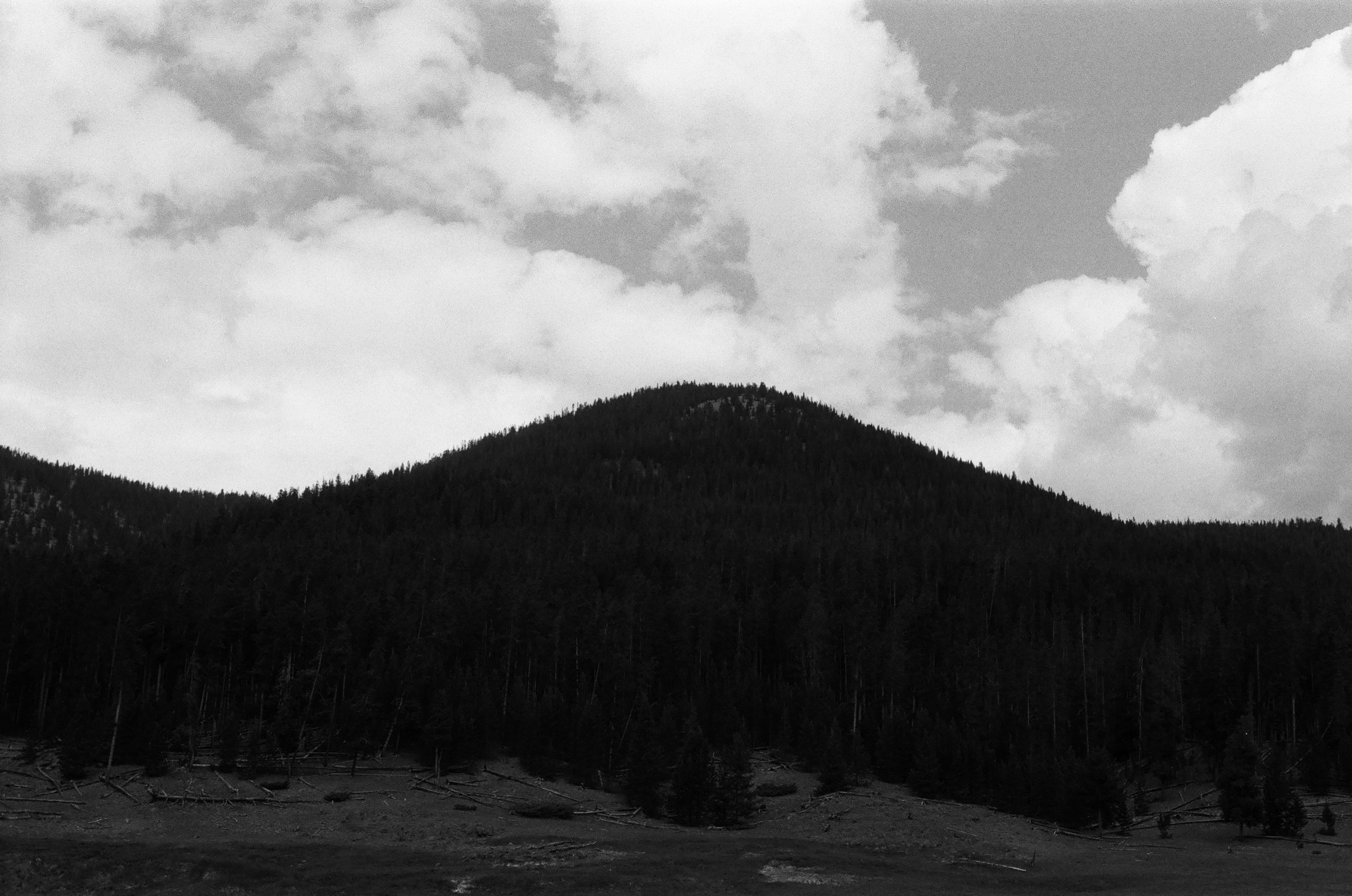 Yellowstone
